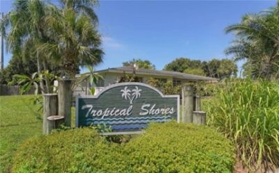 Tropical Shores